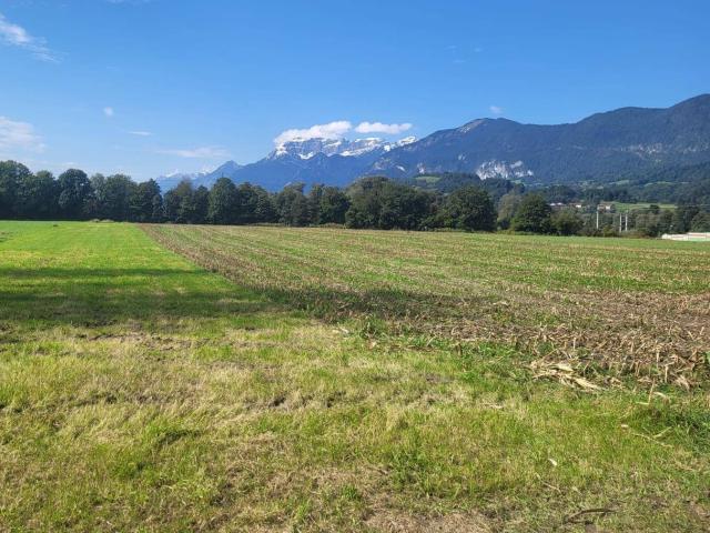 Immobilie kaufen in Kundl, Tirol