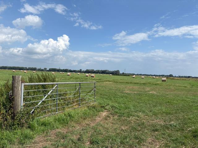 Landwirtschaft kaufen in Elsfleth, Niedersachsen