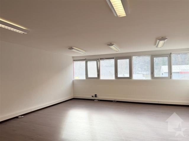 Büro kaufen in Les Mayens-de-Sion, Wallis