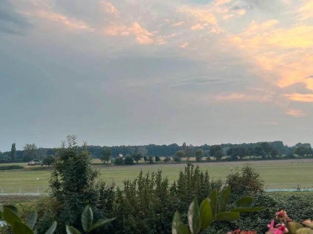 Wohnung kaufen in Hockenheim, Baden-Württemberg