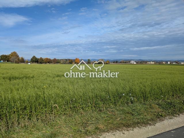 Immobilie kaufen in Heinz Lettner-Siedlung, Mitterkirchen im Machland