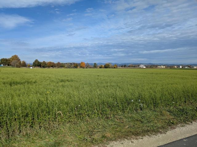 Grundstück kaufen in Mitterkirchen im Machland, Oberösterreich
