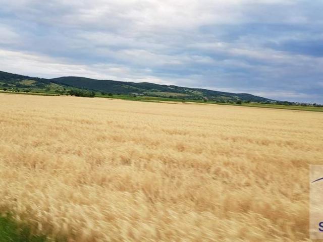 Grundstück kaufen in Schärding, Oberösterreich