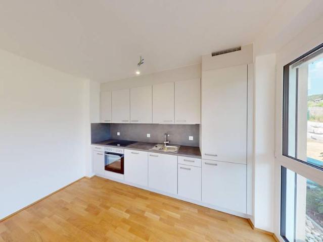 Wohnung kaufen in Steiermark