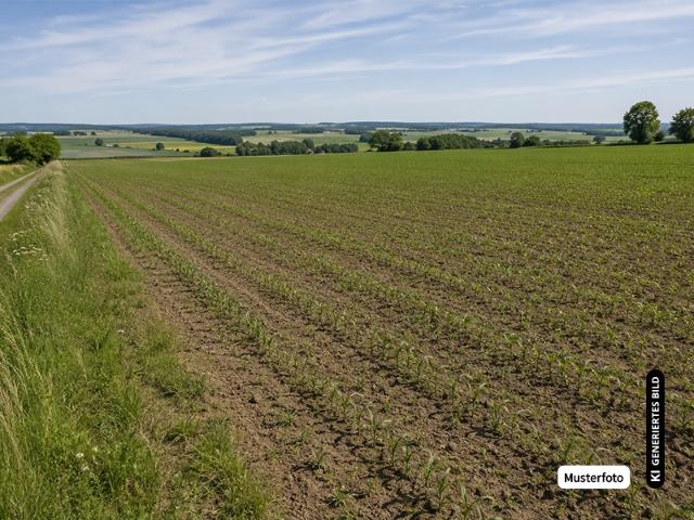 Landwirtschaft kaufen in Balingen