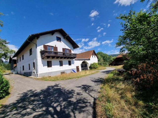 Bauernhaus kaufen in Pöllau, Steiermark