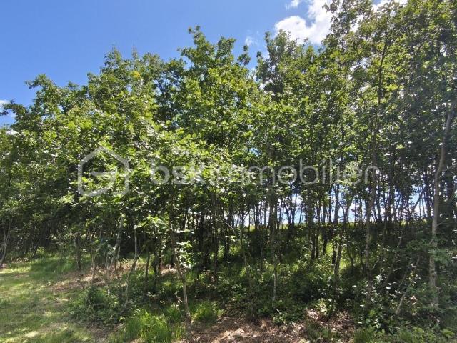 Terrain vente à Montauban, Verlhac-tescou