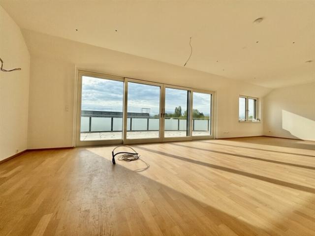 Terrassenwohnung kaufen in Laxenburg, Niederösterreich