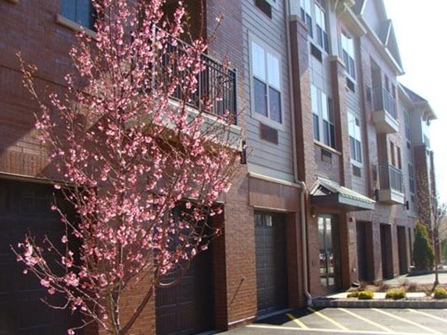 Apartment for rent in Kearny