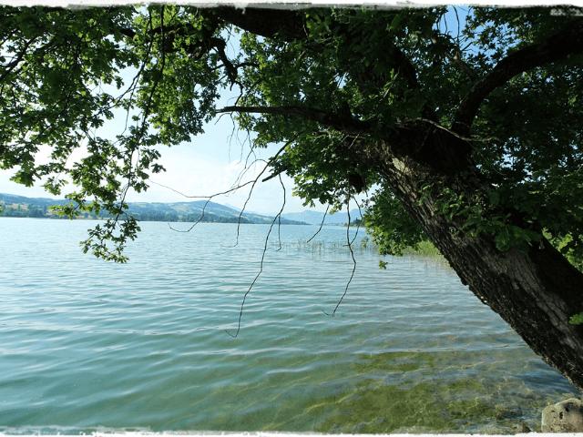 Apartment mieten in Oberhofen am Irrsee, Oberösterreich