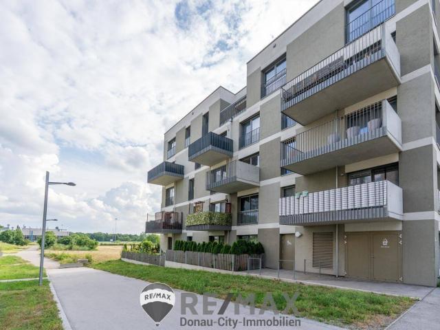 Apartment kaufen in Donaustadt, Wien