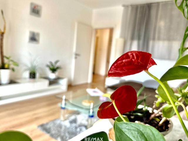 Wohnung kaufen in Puntigam, Gersdorf-Feistritz