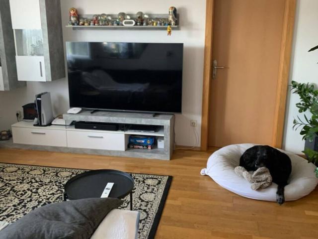 Wohnung kaufen in Mooskirchen, Steiermark