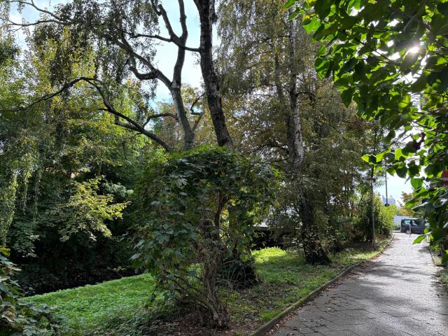 Wohnung kaufen in Schönefeld-Ost, Leipzig