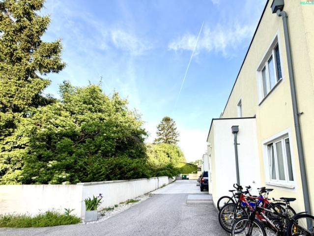 Wohnung kaufen in Eggendorf, Niederösterreich