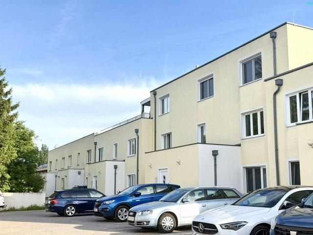 Apartment kaufen in Eggendorf, Niederösterreich
