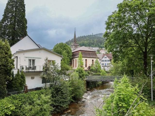 Wohnung kaufen in Hornberg, Ortenaukreis