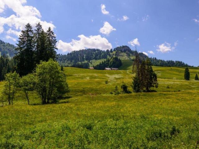 Haus mieten in Reichraming, Oberösterreich