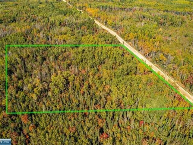 Land for sale in Cook, Minnesota