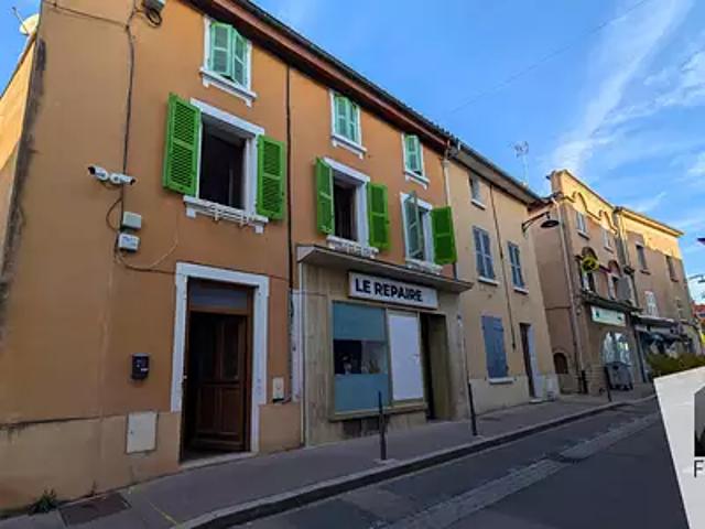 Maison vente à Lyon, Métropole de Lyon