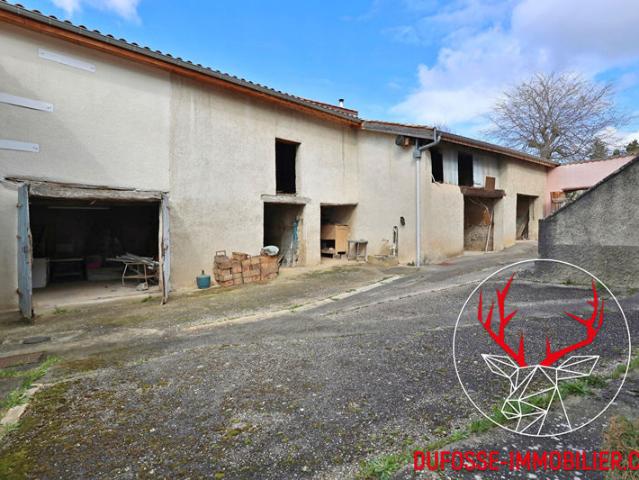Maison vente à Lyon, Métropole de Lyon