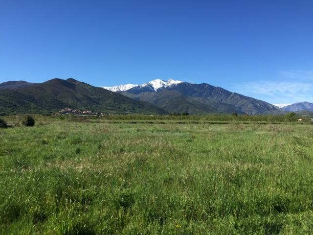 Terrain vente à Prades, Vernet-les-bains
