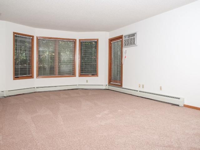 Apartment for rent in Hennepin, Minnesota