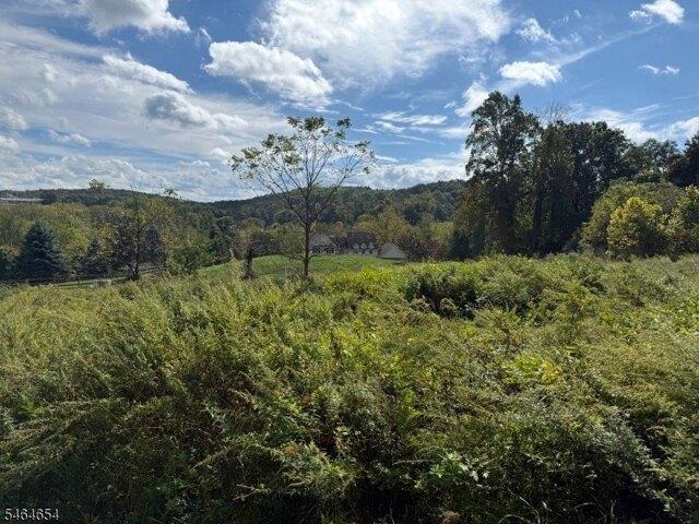 Land for sale in Glenwood, Vernon Township