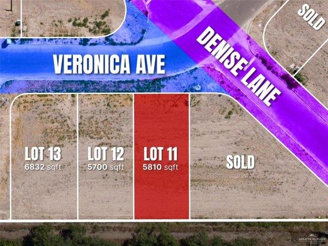 Land for sale in Roma, Texas