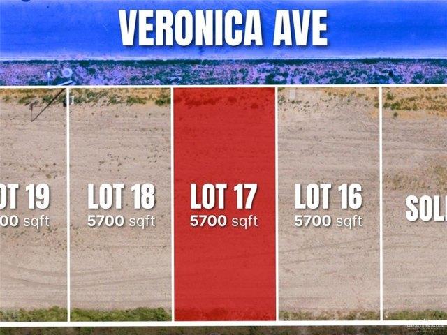 Land for sale in Roma, Texas