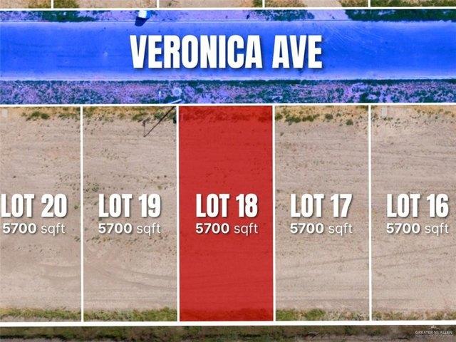 Land for sale in Roma, Starr County
