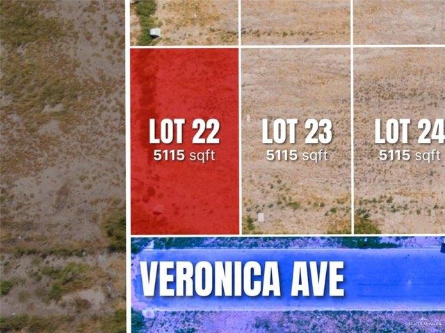 Land for sale in Roma, Texas