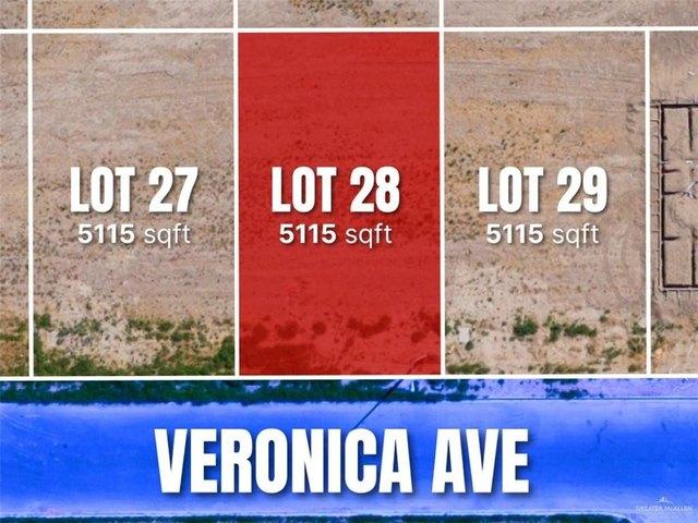 Land for sale in Roma, Texas