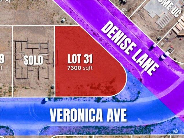 Land for sale in Roma, Texas
