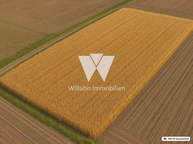 Landwirtschaft kaufen in Zschepen, Delitzsch
