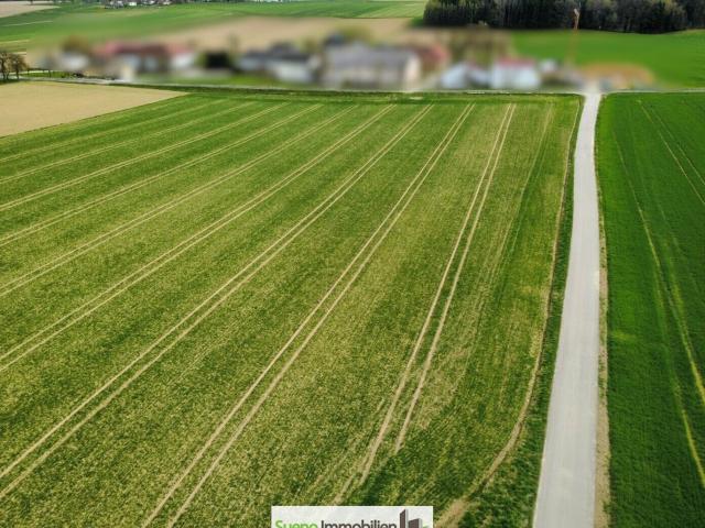 Landwirtschaft kaufen in Bad Wimsbach-Neydharting, Oberösterreich