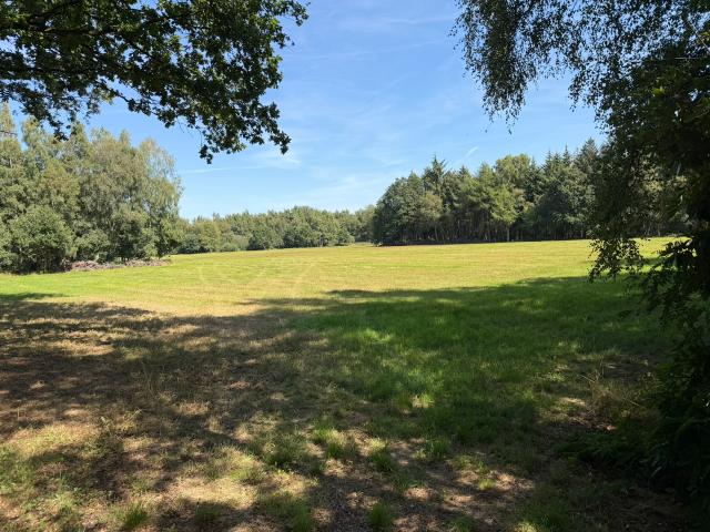 Landwirtschaft mieten in Jeddeloh I, Edewecht