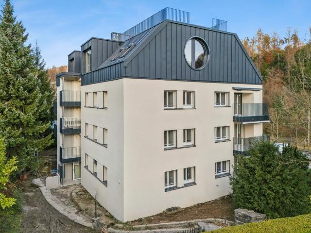 Wohnung mieten in Einigen, Zürich