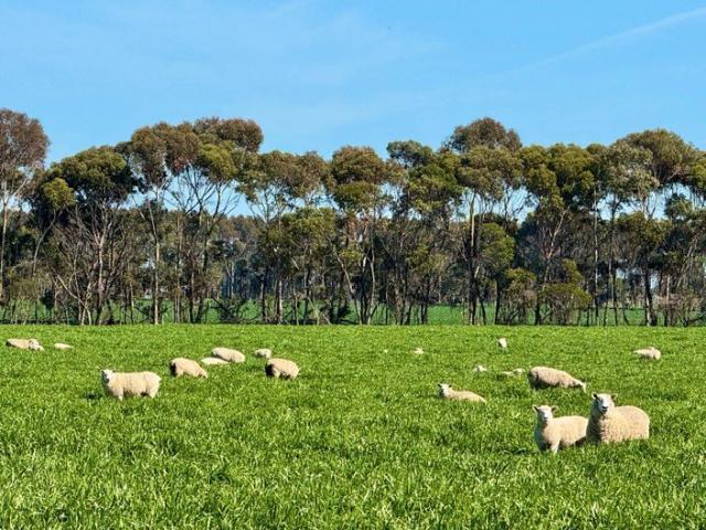 Cottage for sale in Mortlake, Shire of Moyne