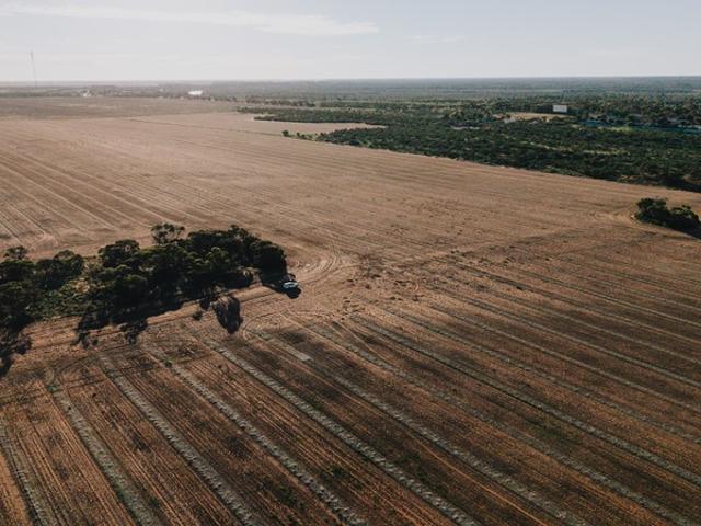 Property for sale in Loxton, South Australia