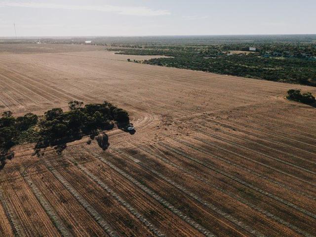 Cottage for sale in Loxton, South Australia