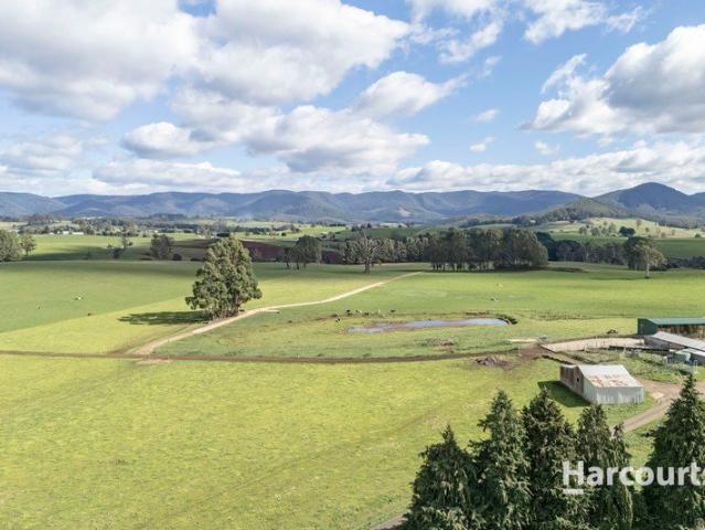 Property for sale in Ringarooma, Tasmania