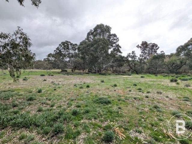 Land for sale in Bealiba, Victoria