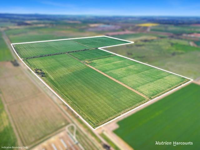 Property for sale in Leeton, Leeton Shire Council