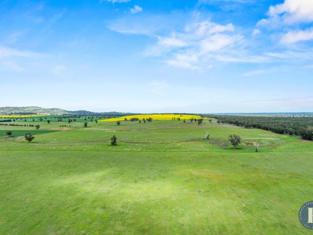 Property for sale in Pullabooka, New South Wales