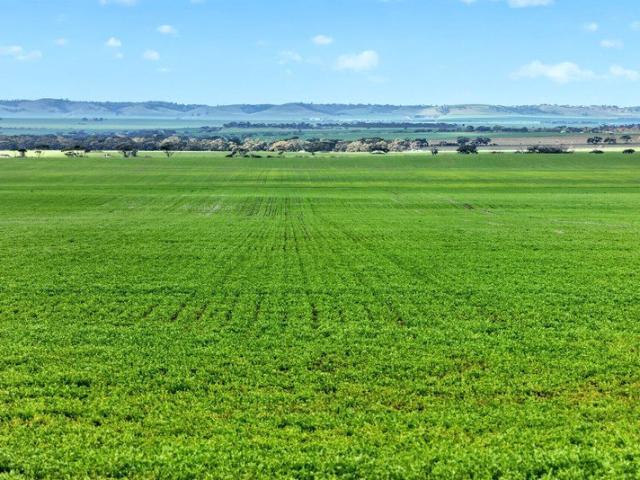 Property for sale in Mount Templeton, South Australia