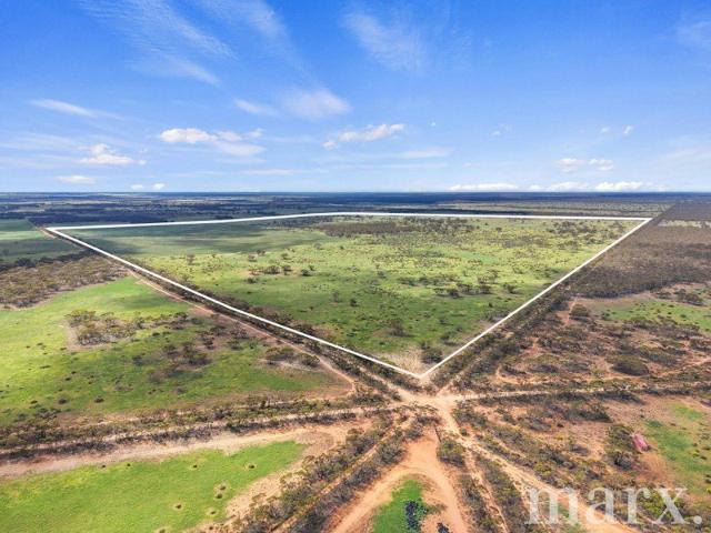 Acreage for sale in Sedan, Mid Murray Council