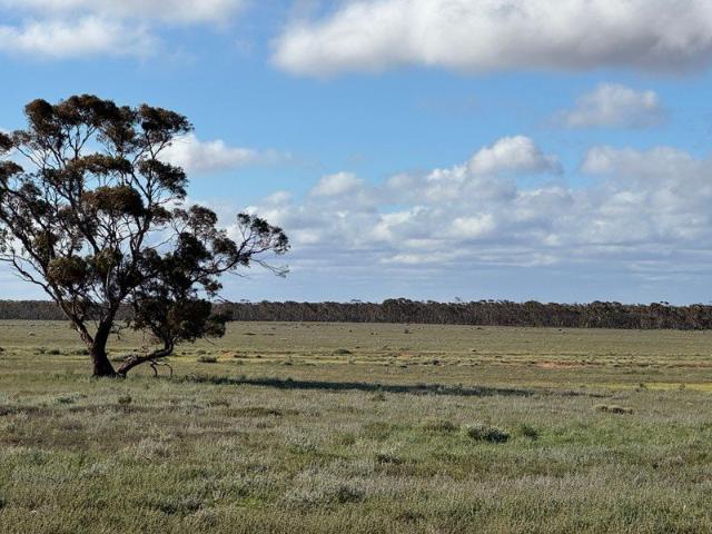 Cottage for sale in Goyder, South Australia