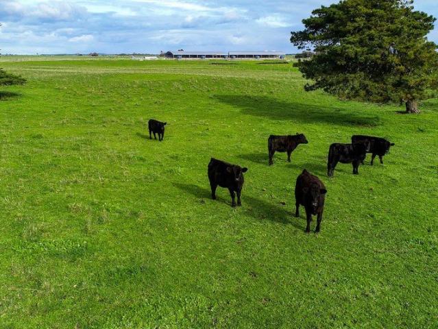 Cottage for sale in Kongorong, South Australia