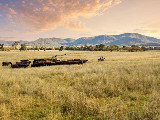 Cottage for sale in Martindale, New South Wales